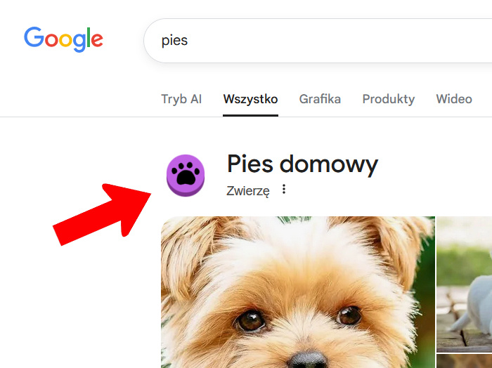 49432a94-d0aa-4502-b70b-9bed58675e28