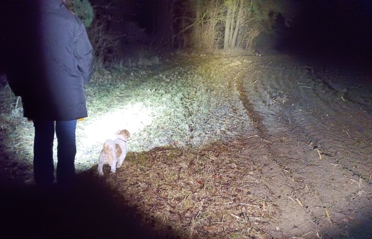 7ffb6255-135f-4a95-a61a-438f84217a13