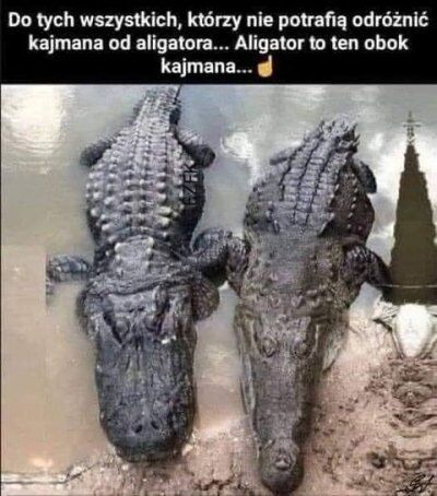 68774f47-43c9-4b9c-9da0-f9477a5070d2