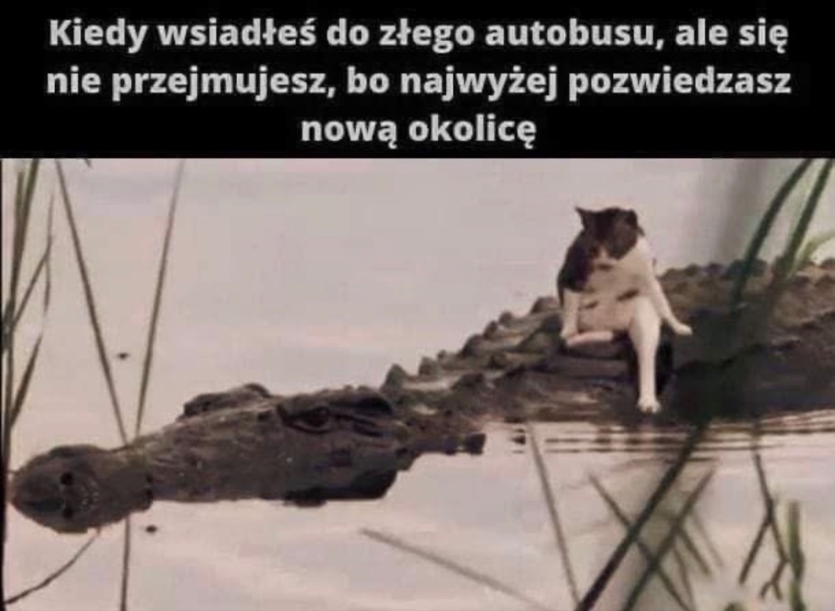 adde6bec-3f32-4a0a-bfae-0742f4493639