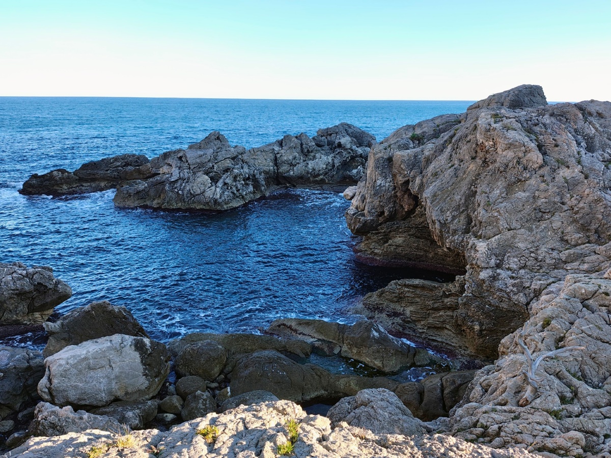 58e6c5f0-5f7e-4316-b74a-41dba780dd07