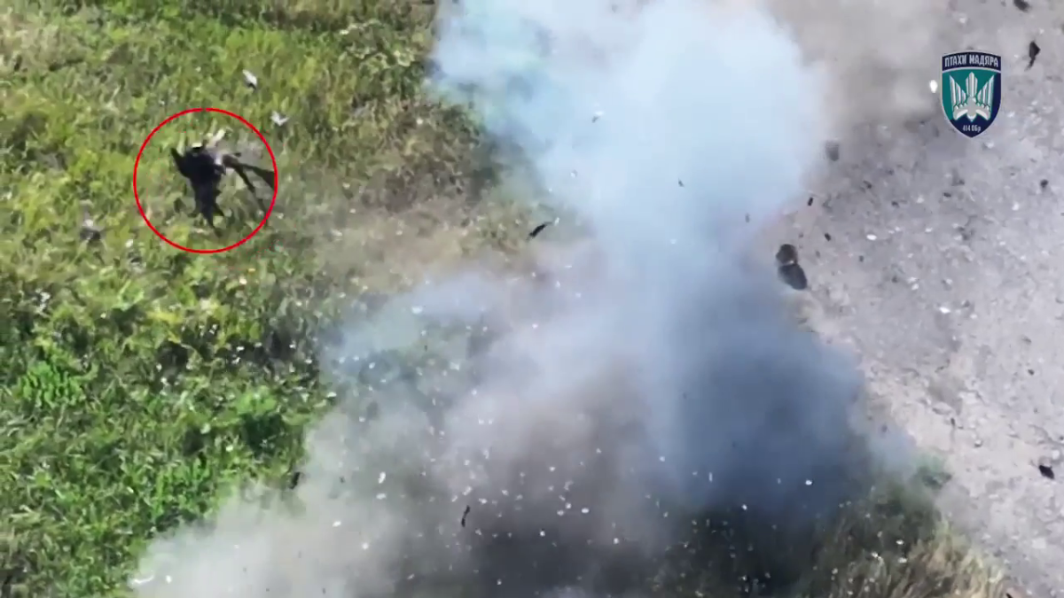 aa3d2d24-9479-44d9-bb3e-8d37309e845e