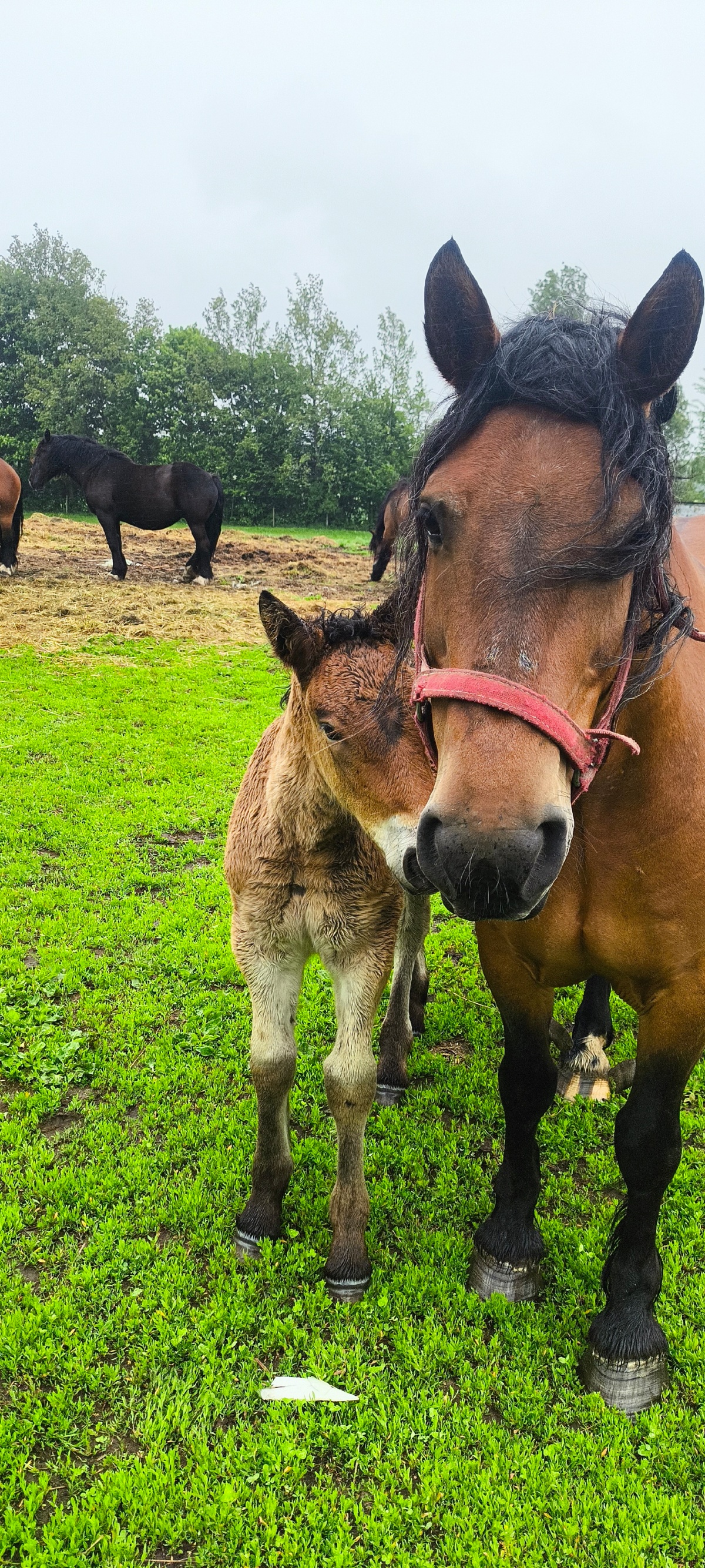 d205e1d7-fce1-4460-98e2-8ef5b5235398