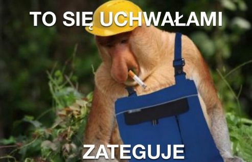 eb73a791-5e4c-457f-8e07-9d293b9cdb78