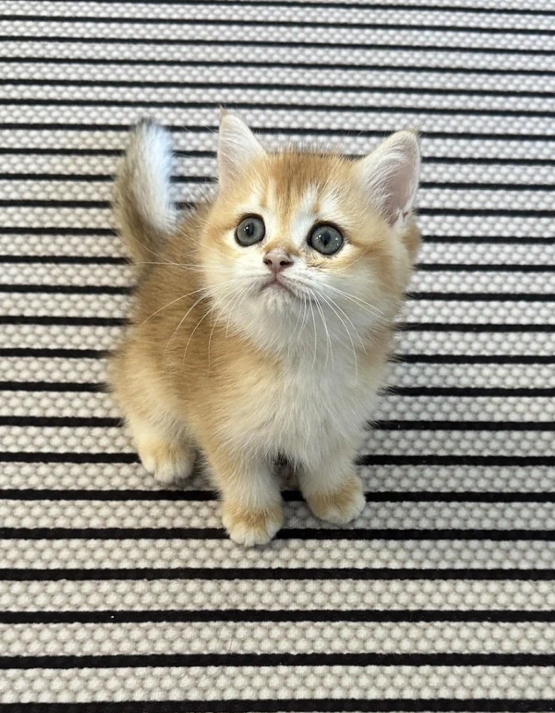 ca60d1ea-b950-461e-b39f-24acc4ad78d5