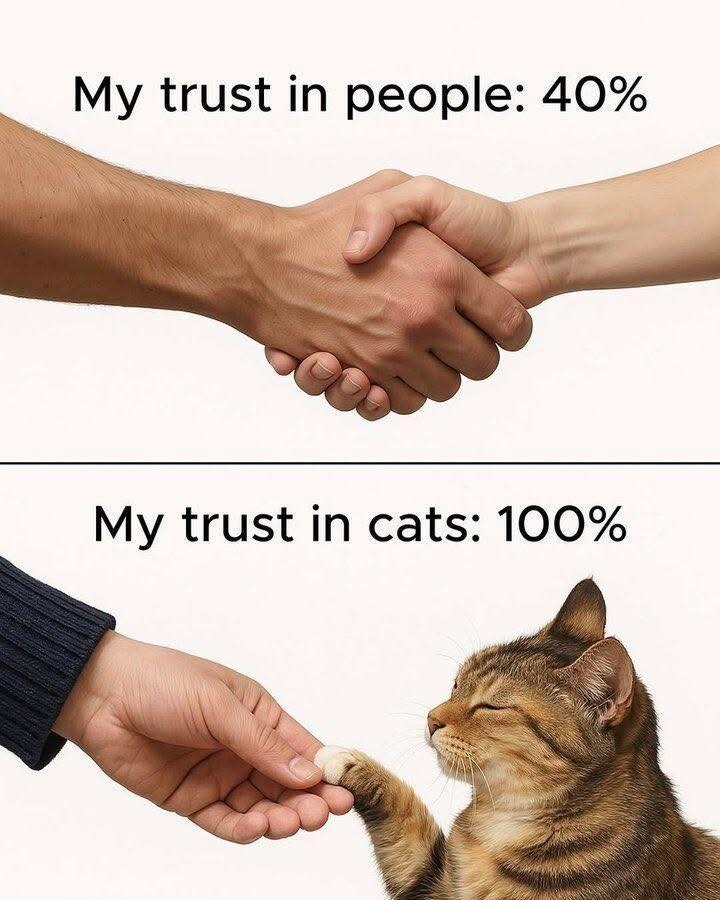 64e0f464-5165-4314-96ae-2a63c3d06c50