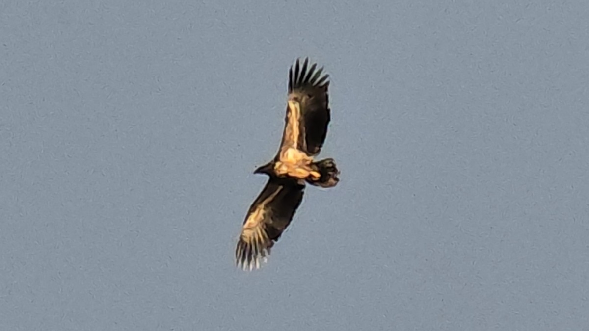 dabe2fe0-c623-473e-afa8-311444e3eba3