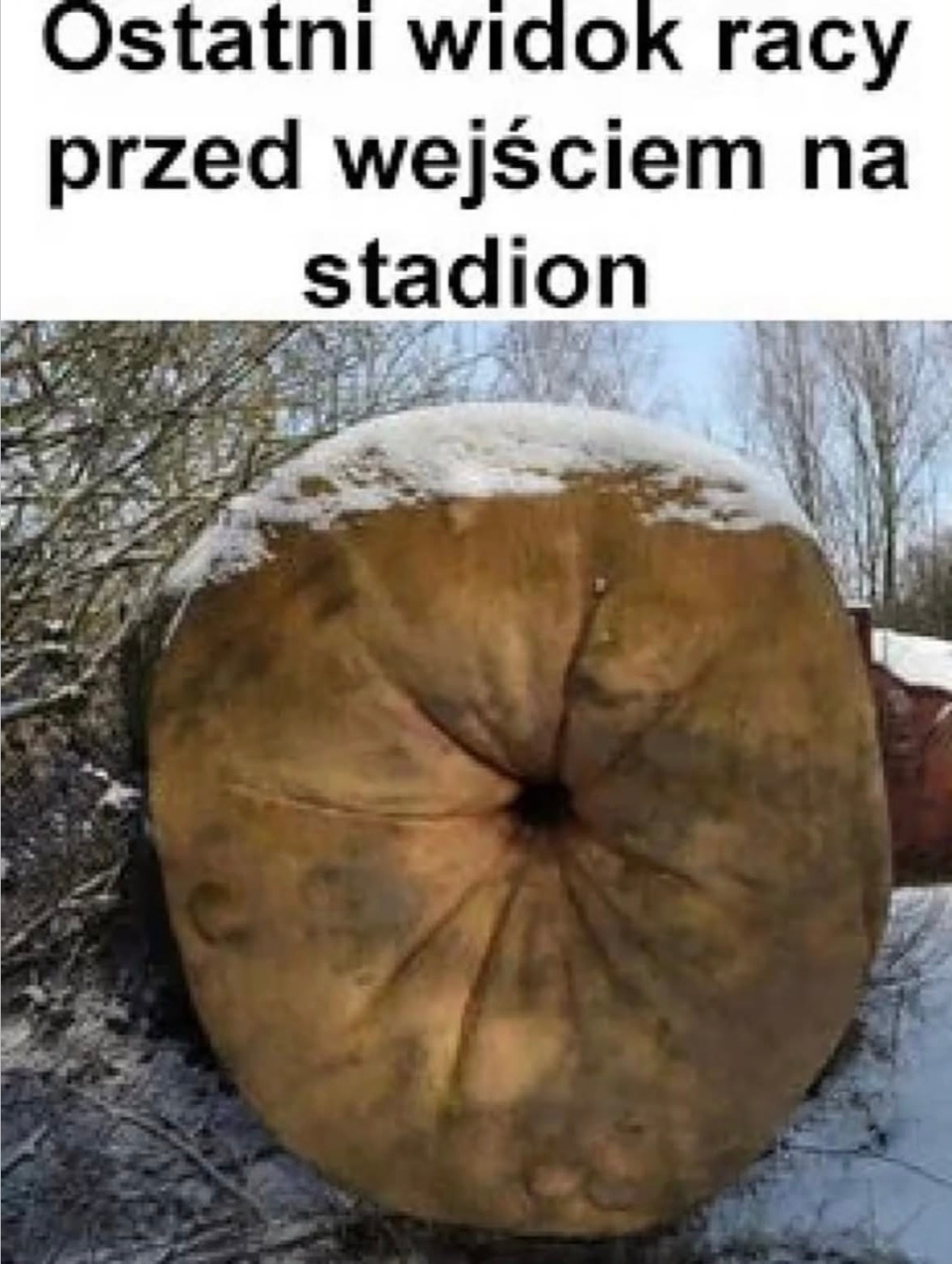 5c56dc0e-8d09-4c71-a7bf-74cff3365925