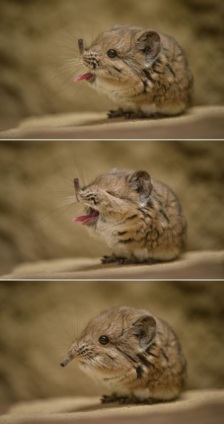 2e7a36b2-de9d-4b70-8546-1c2bd5738404