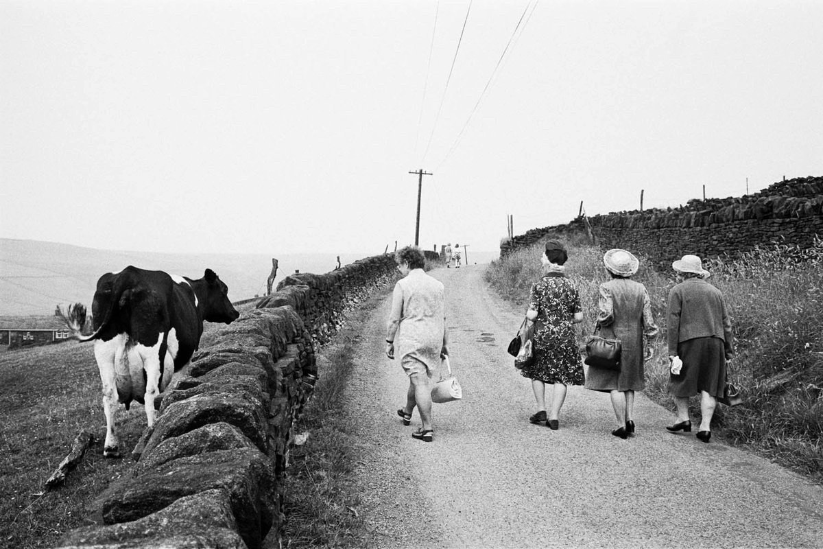 45cc45fd-6705-4dbc-ad6d-2b10223e62e1