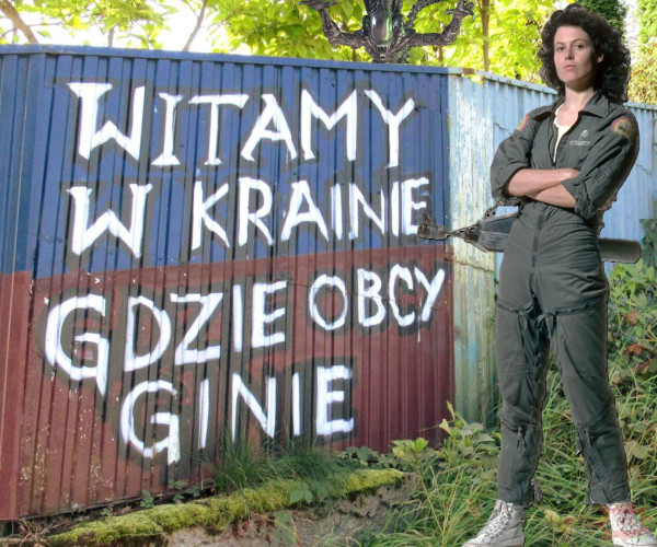 4b9d03f2-101a-47f0-8565-e5d9b92b85ee