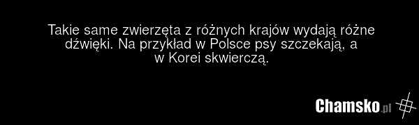 8633f63a-8bc1-43da-b01f-64bed50cccce