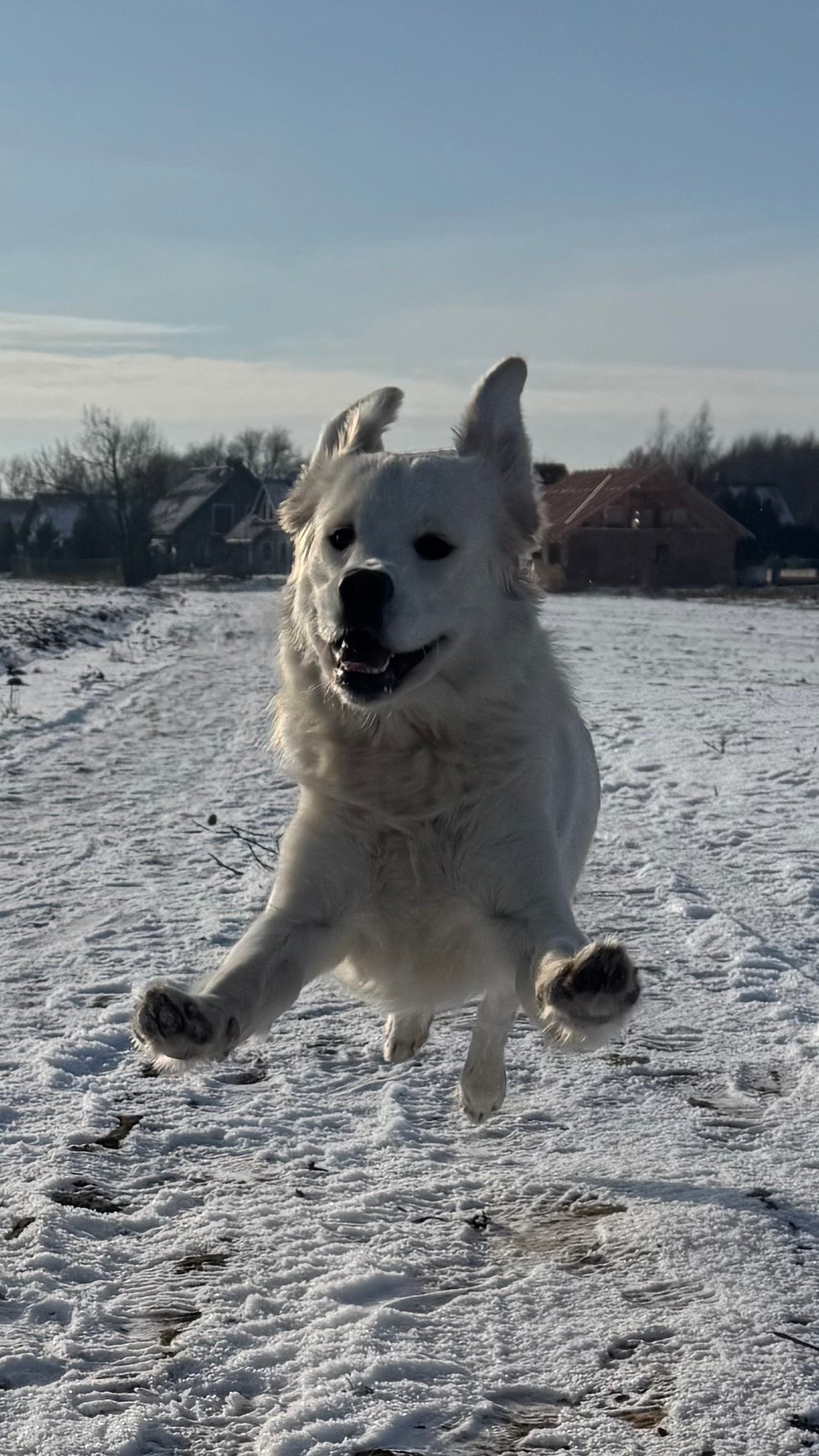 7fc5eee3-3770-4982-8ff8-4c519d5f74ec