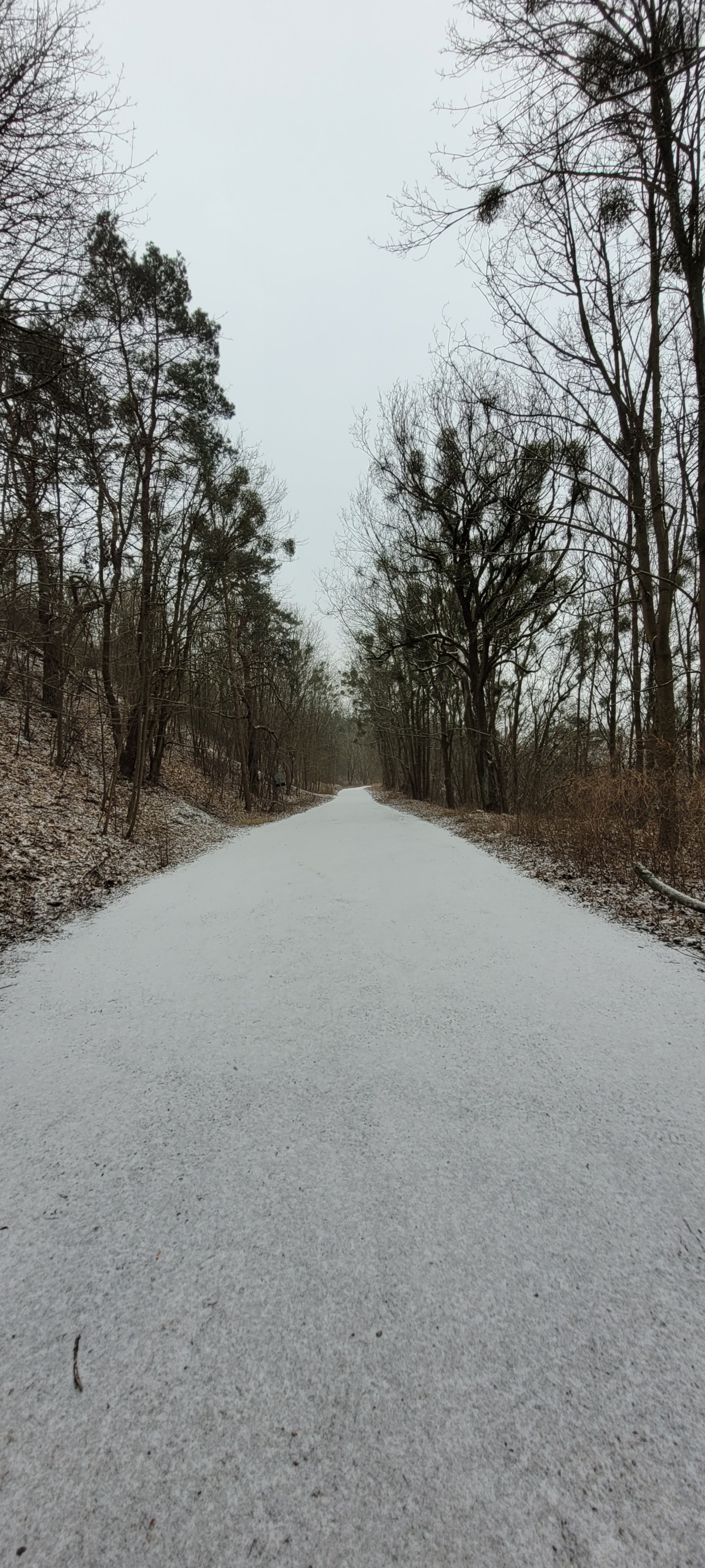 5f62753f-1fc6-46fd-8f35-d9ad00d97eae