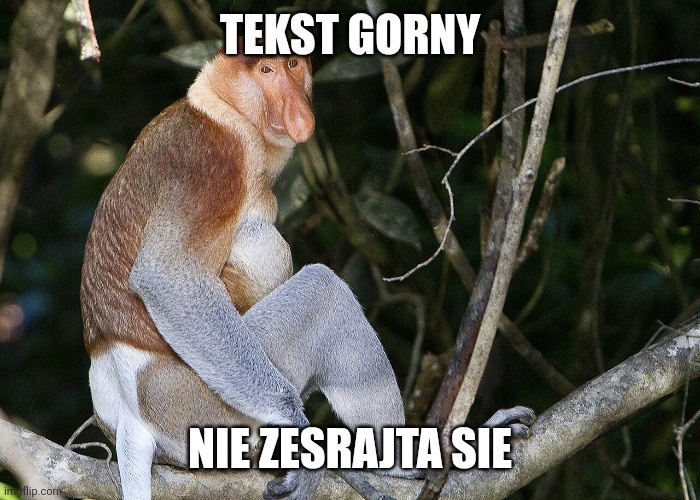 6cecb336-3e67-4bf0-8849-fd67fb4c2a11