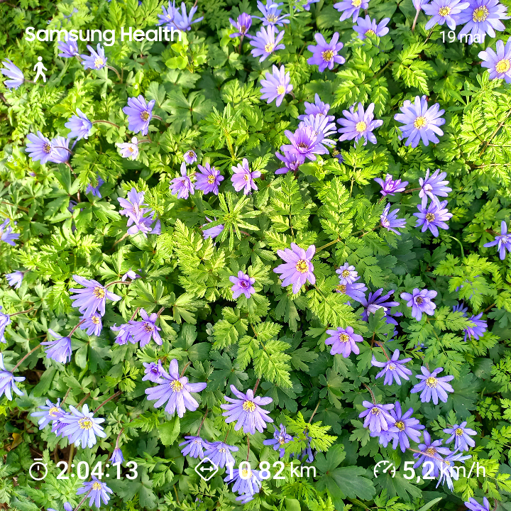 f5ab3442-e912-4eb3-a3cc-3656c28ea506