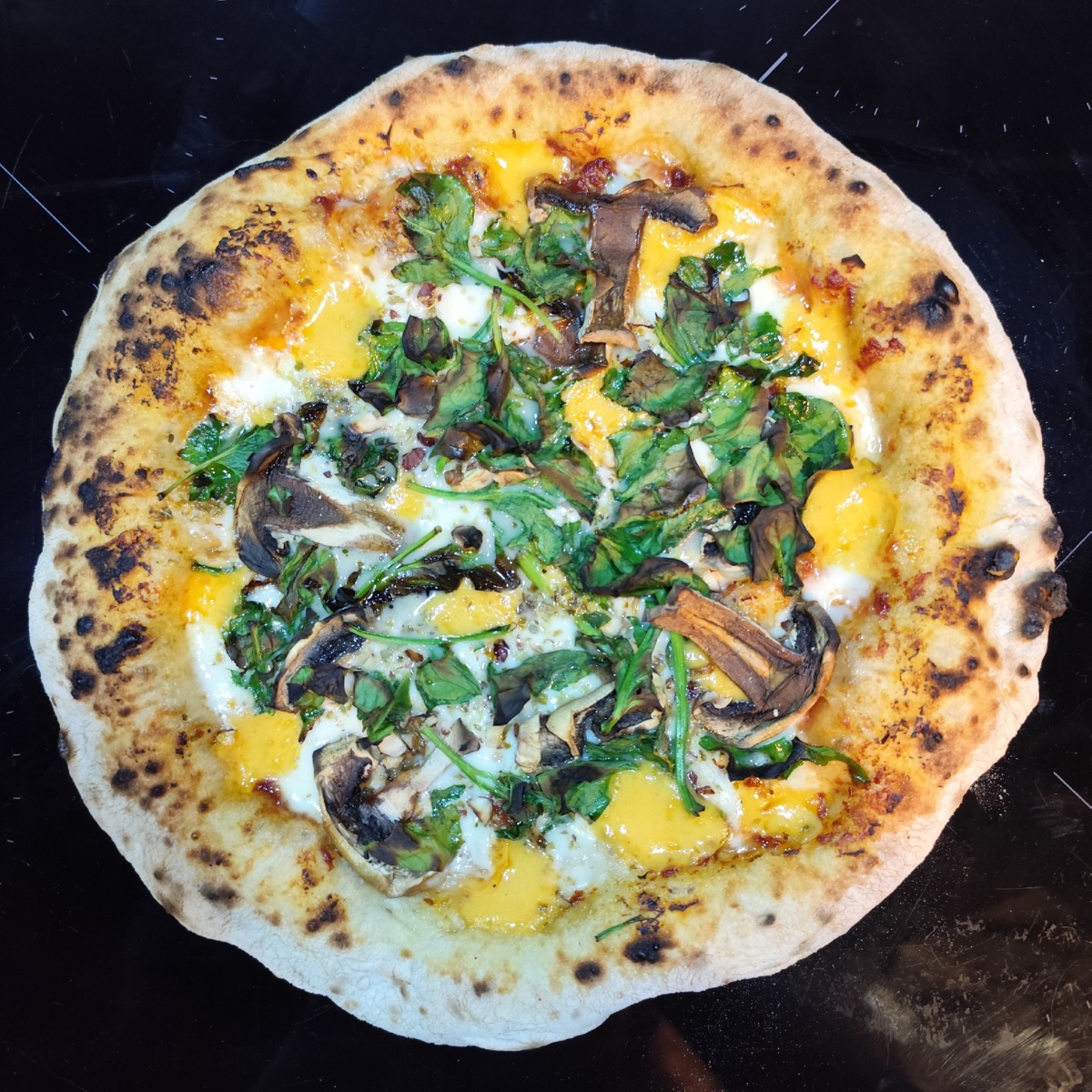 447aa8bf-ed1c-4cae-ab8e-c6fdba0f90eb