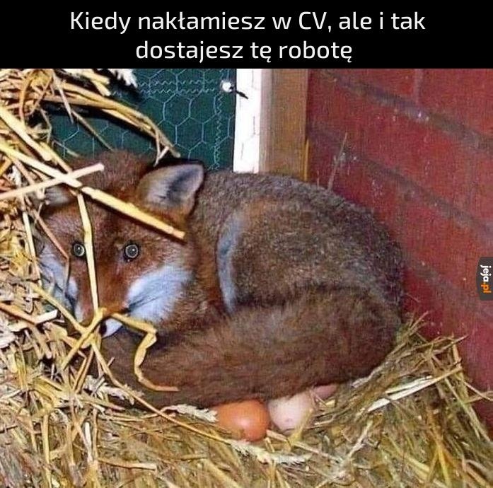 a485ca86-f623-4ad4-9c50-02233bef75fe