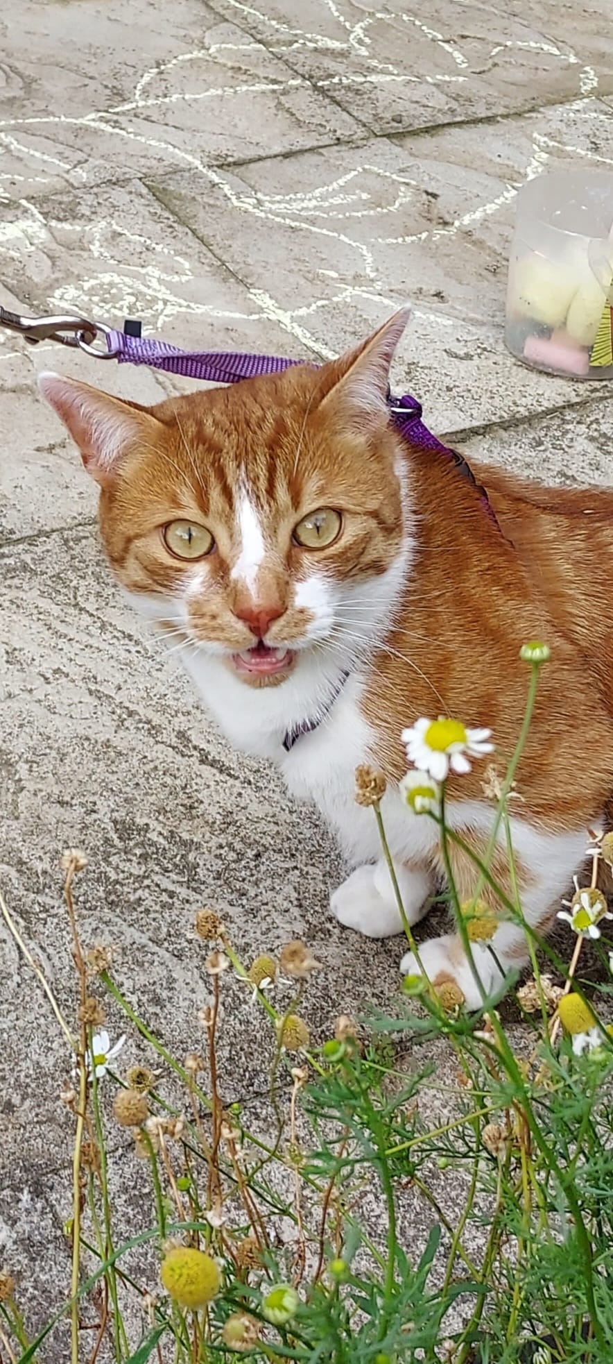 99ff426a-100f-4fdd-98ad-4b138643ffce