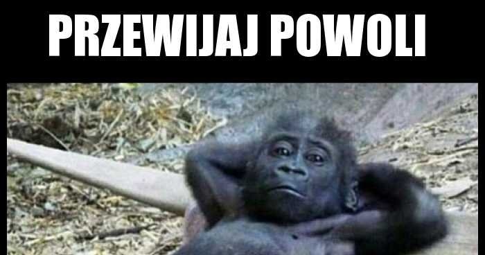 b5cf7f9e-a4d6-42c5-bda5-b4243e9e3ac8