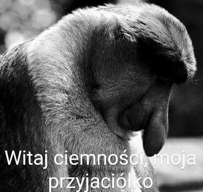 62e05561-350c-4d7e-bfd5-cf30017385e0