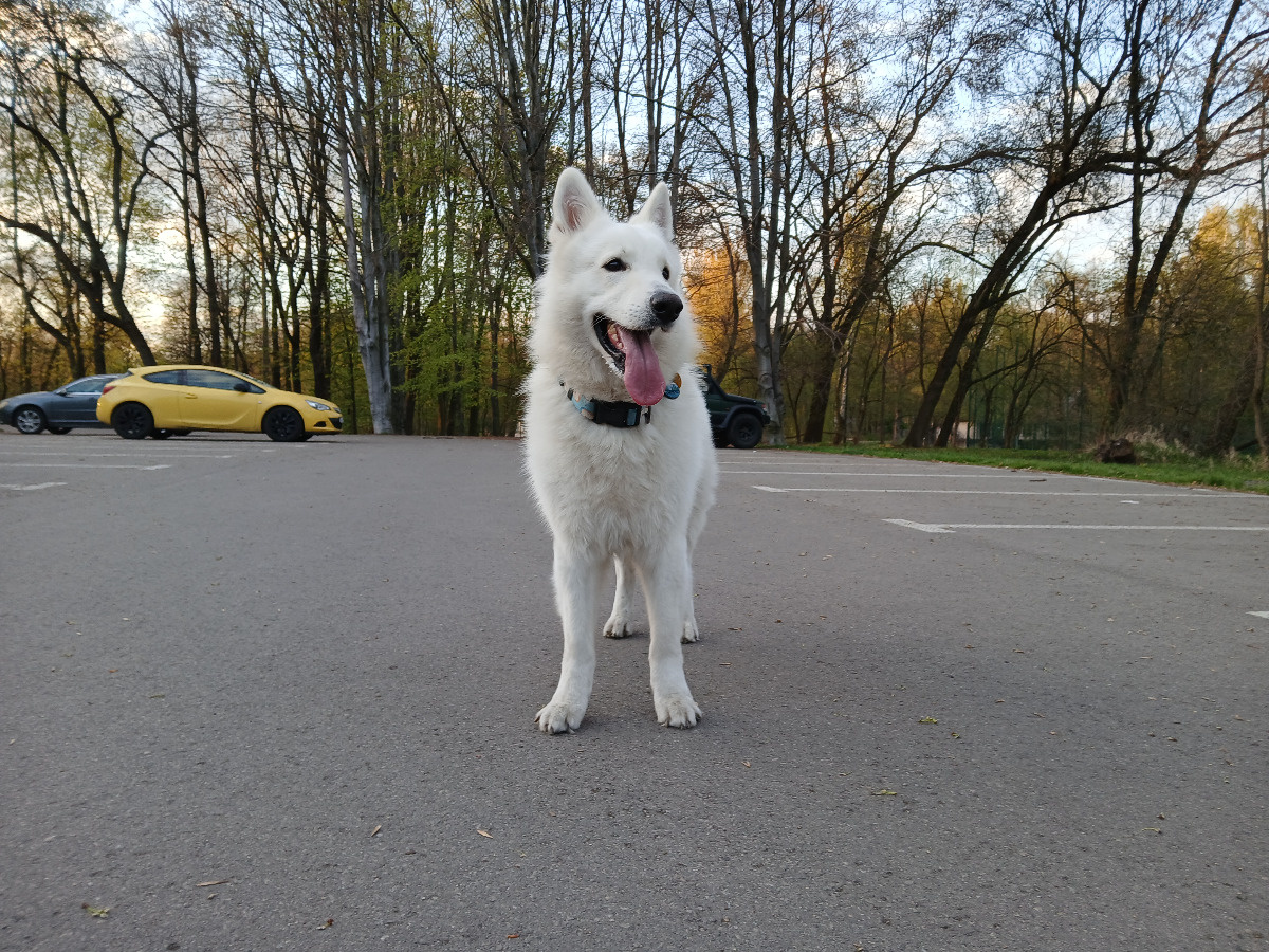 6b1155f3-b920-47da-9b0e-3a39d7cc5f95