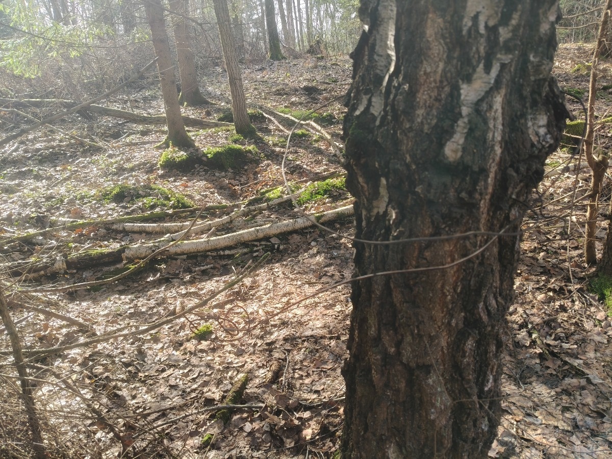 942a9356-2ee1-4923-b299-8b1061c1aa95