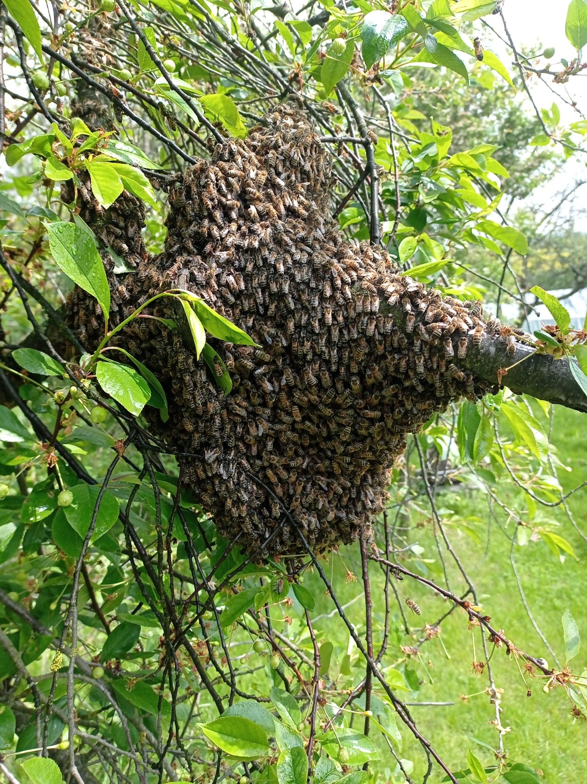 56ff5512-ee67-423b-8542-b6ca3fc7e37c