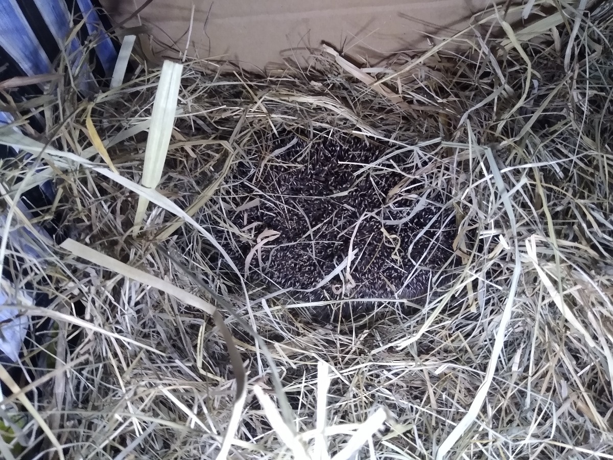 aa3514bf-89a2-432b-bd50-eb51eb7a76b2