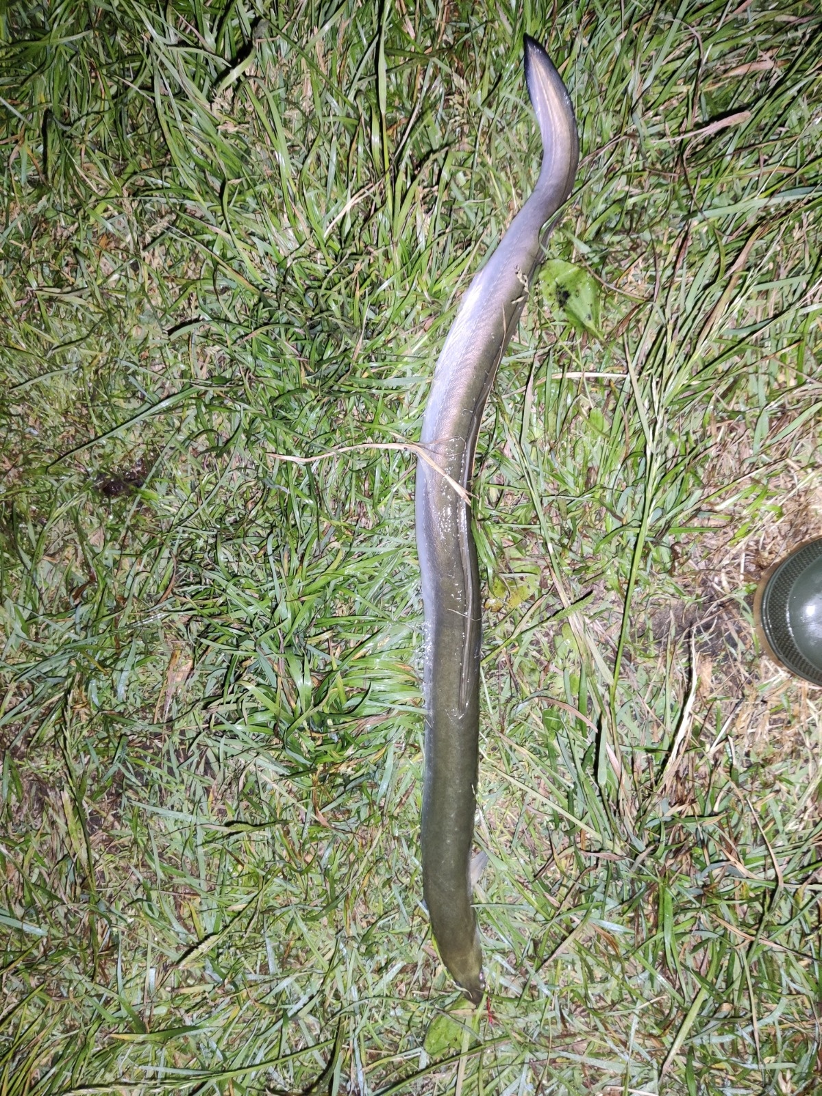 850170f6-15fb-42ea-ac94-7faa983ab881