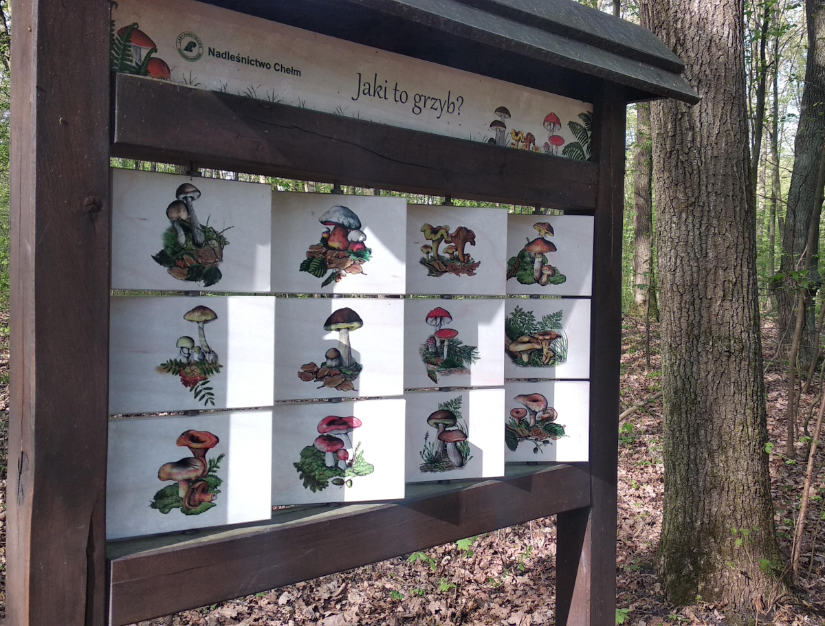 0903e372-223c-4bbe-82a8-c5a18e687612