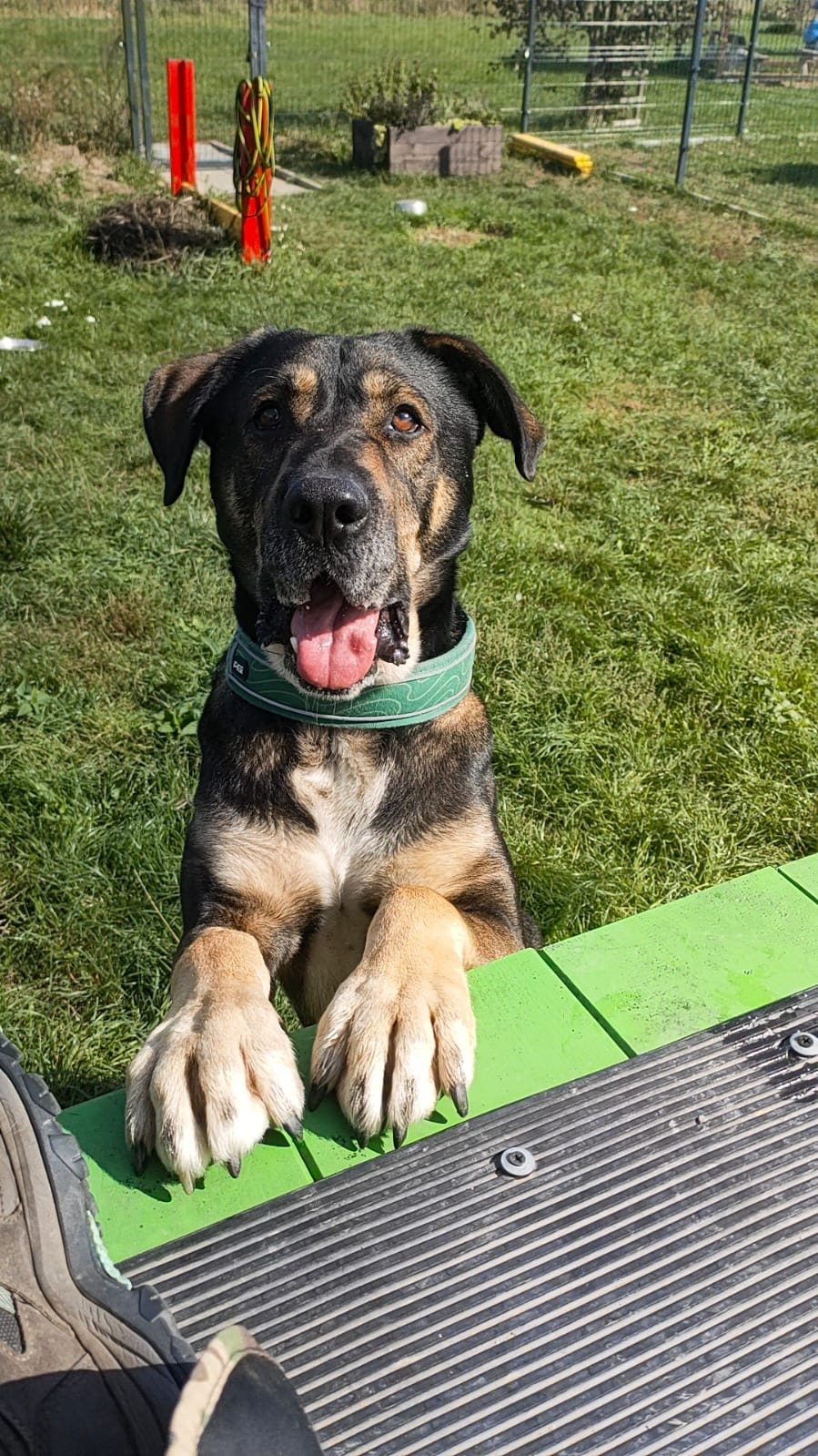 ad0f3a10-03bf-40a3-8c0f-a942837126fa