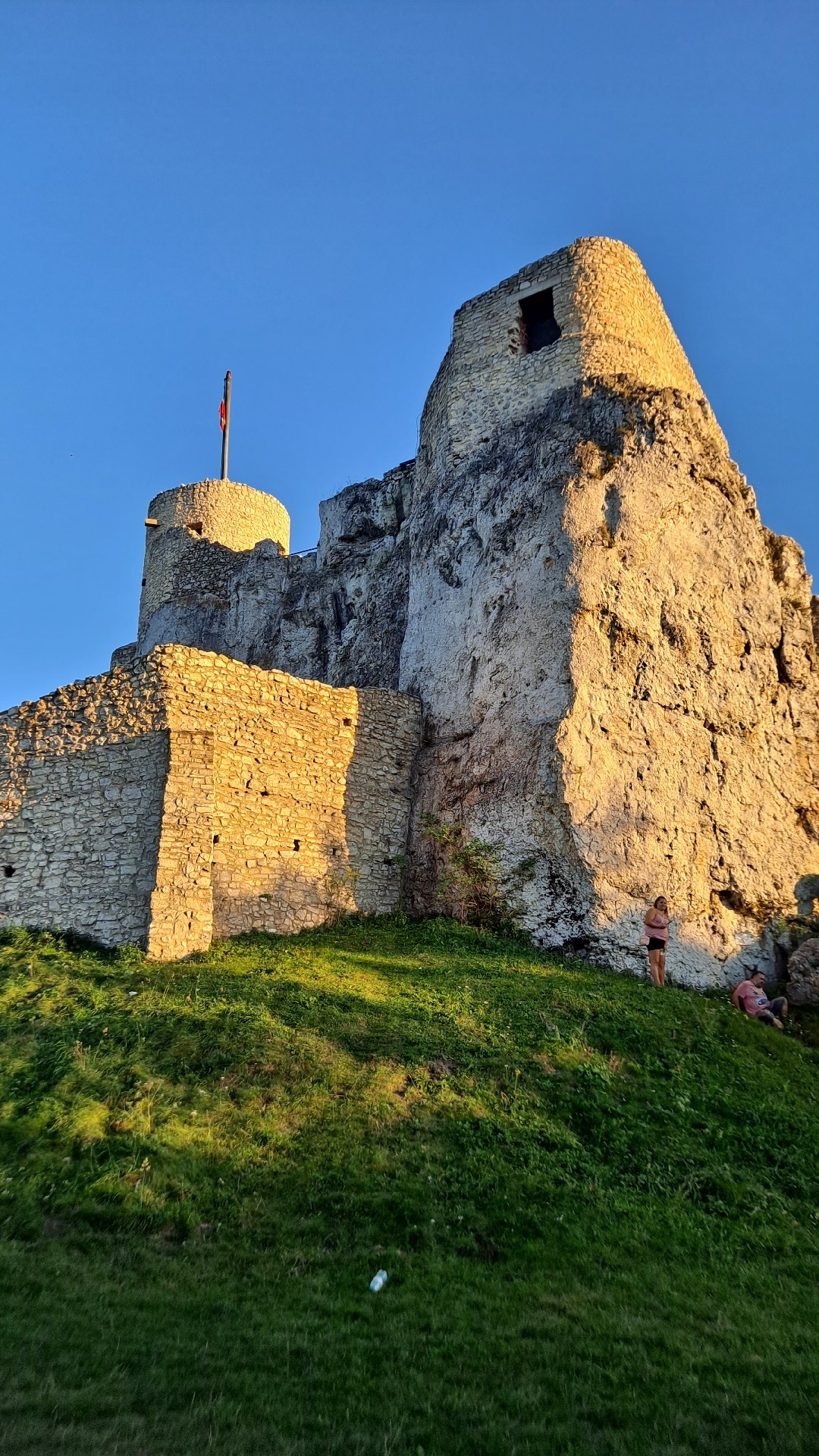 0df9d650-787a-478c-8d82-6f6bad3a1d39