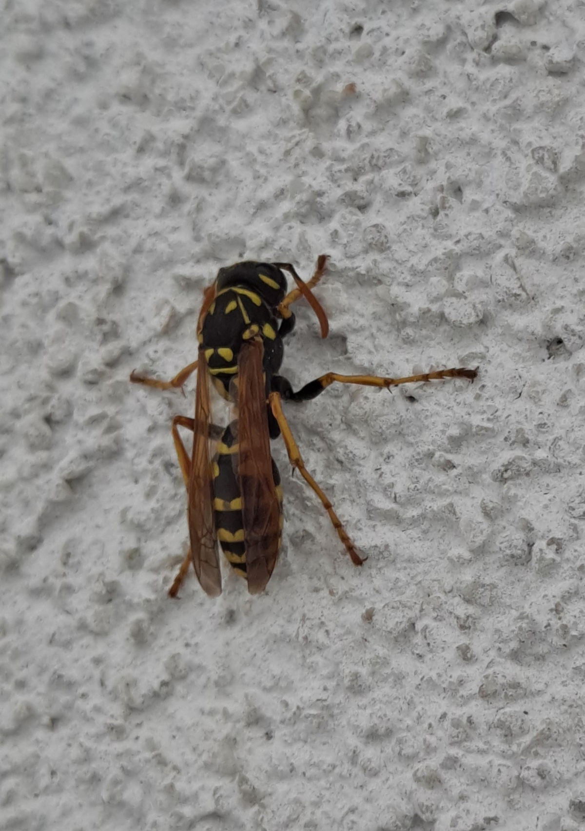 edae92d0-5545-49ad-80fc-600eb4c061f6