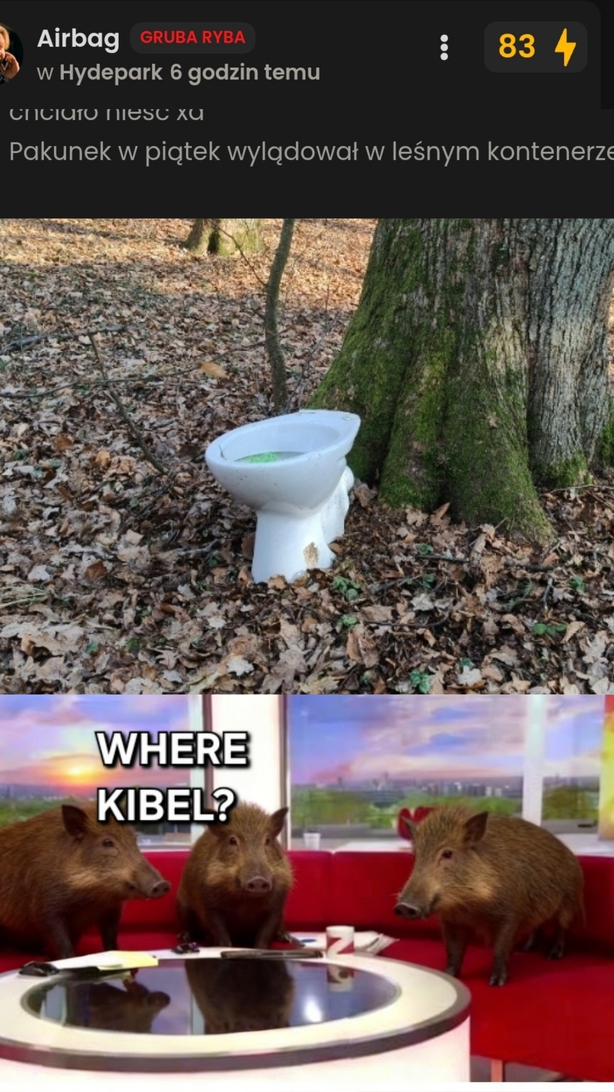 9534c6be-1731-465e-bc07-97fe6a513412