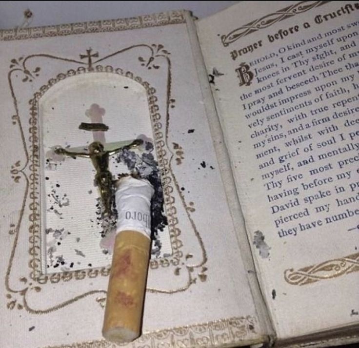 6504dd4d-bf18-47e8-a761-1f6fca4eca6c