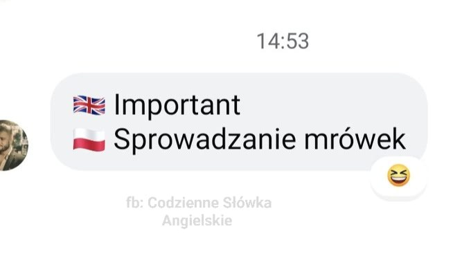 b48cea70-0b27-4cf7-952a-63bf477f9b3e