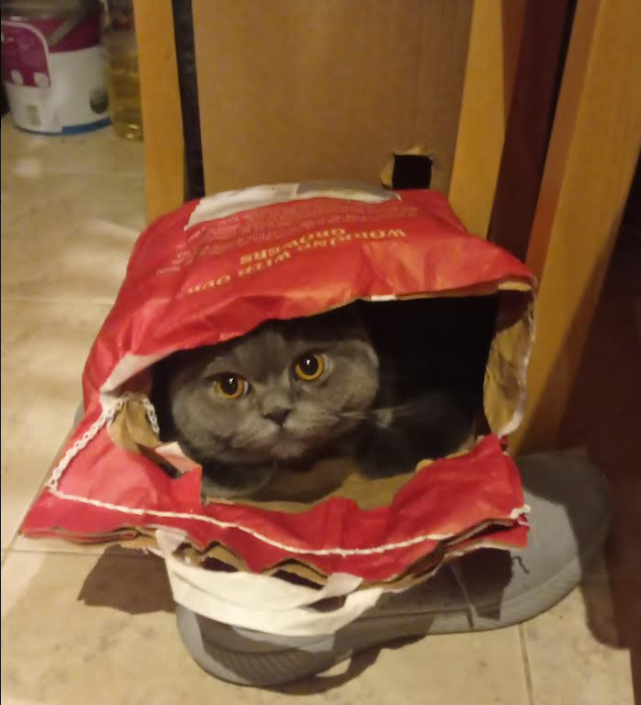 972ff4d0-f219-4291-a81f-def6e0cd5c7b