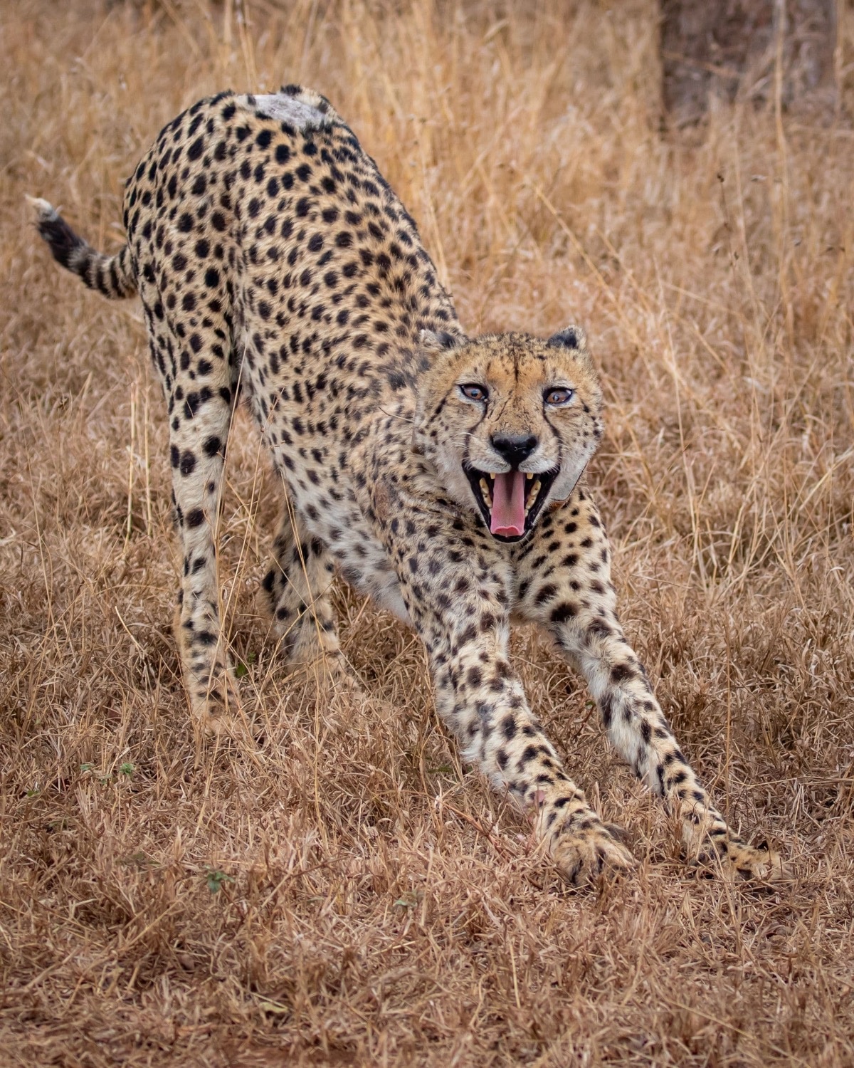 7c7d29de-6009-448e-b90b-8217f0956747