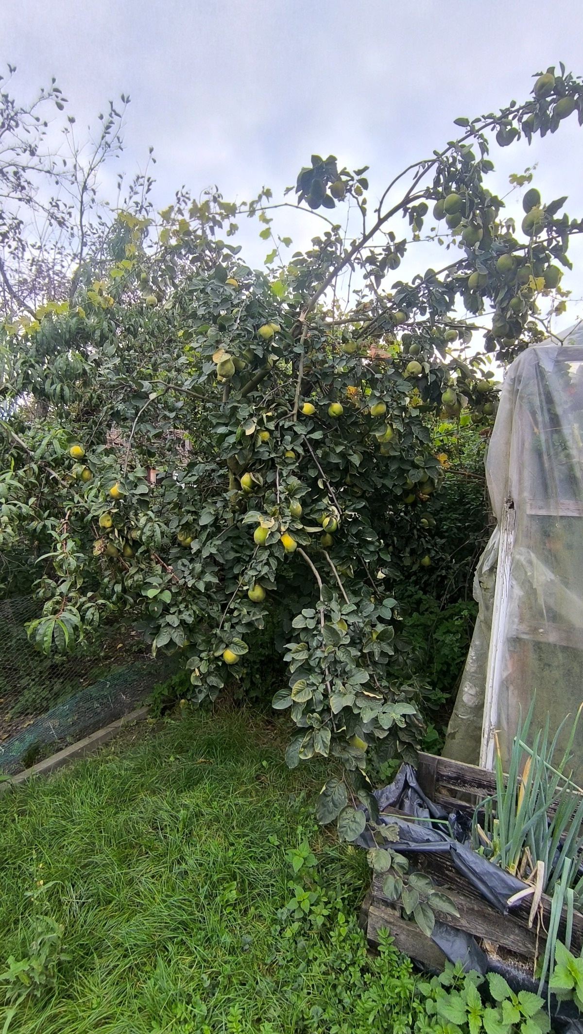 0dc099cd-8a27-41f8-962f-97cba56ce84e