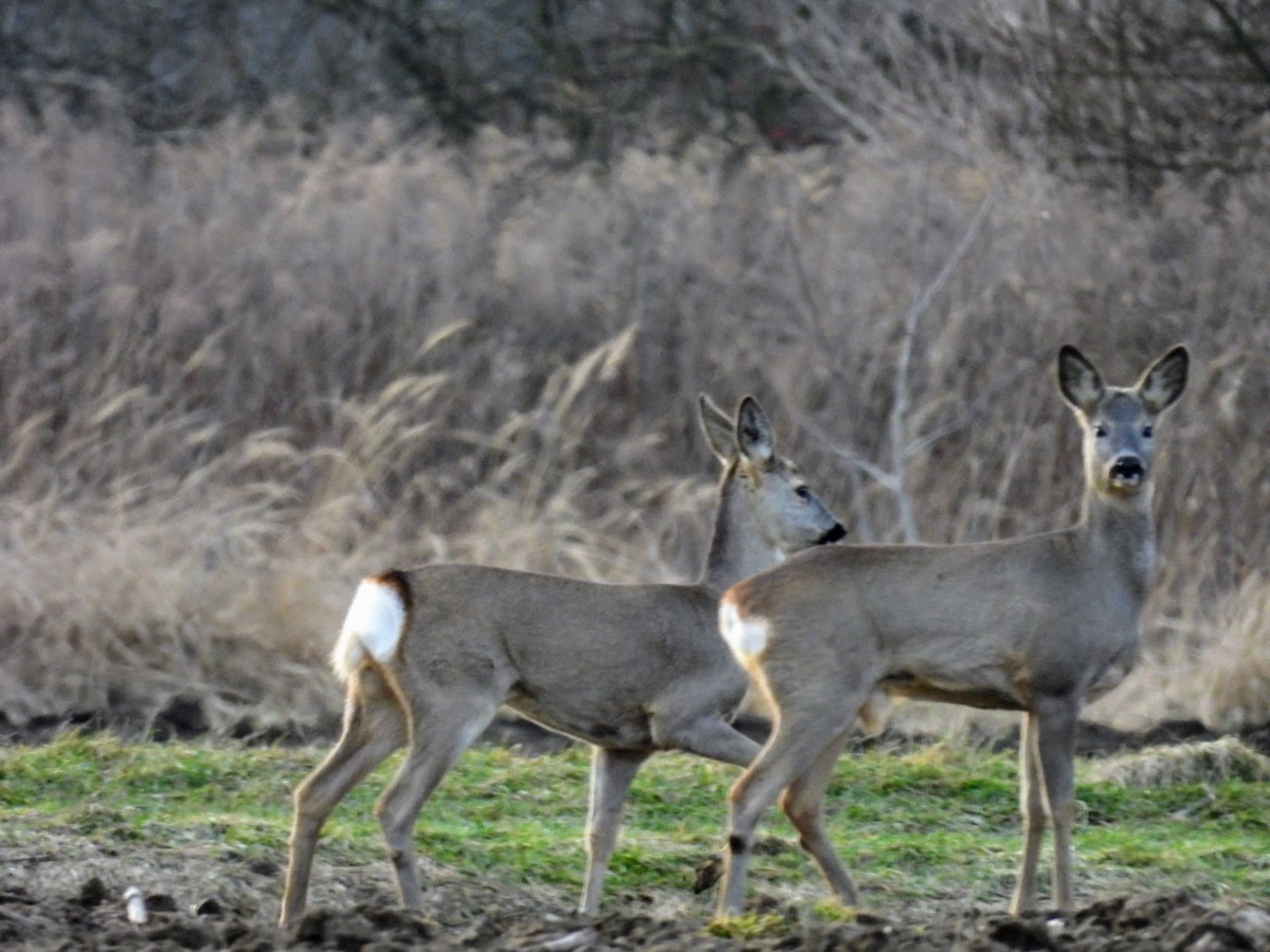 fdbbefea-6713-48e6-b403-f6ba7ab6154d