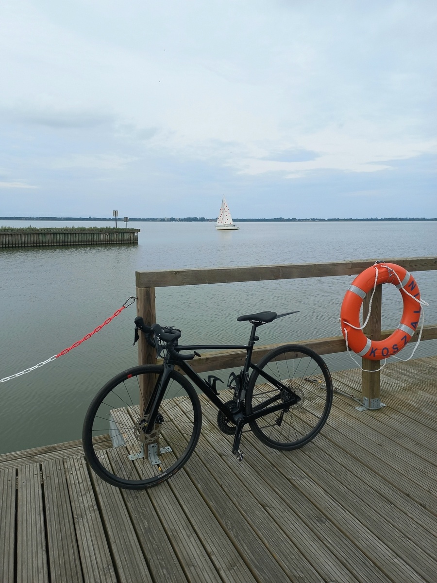 9ed08647-4745-4ab6-92e7-c08976f6fb41