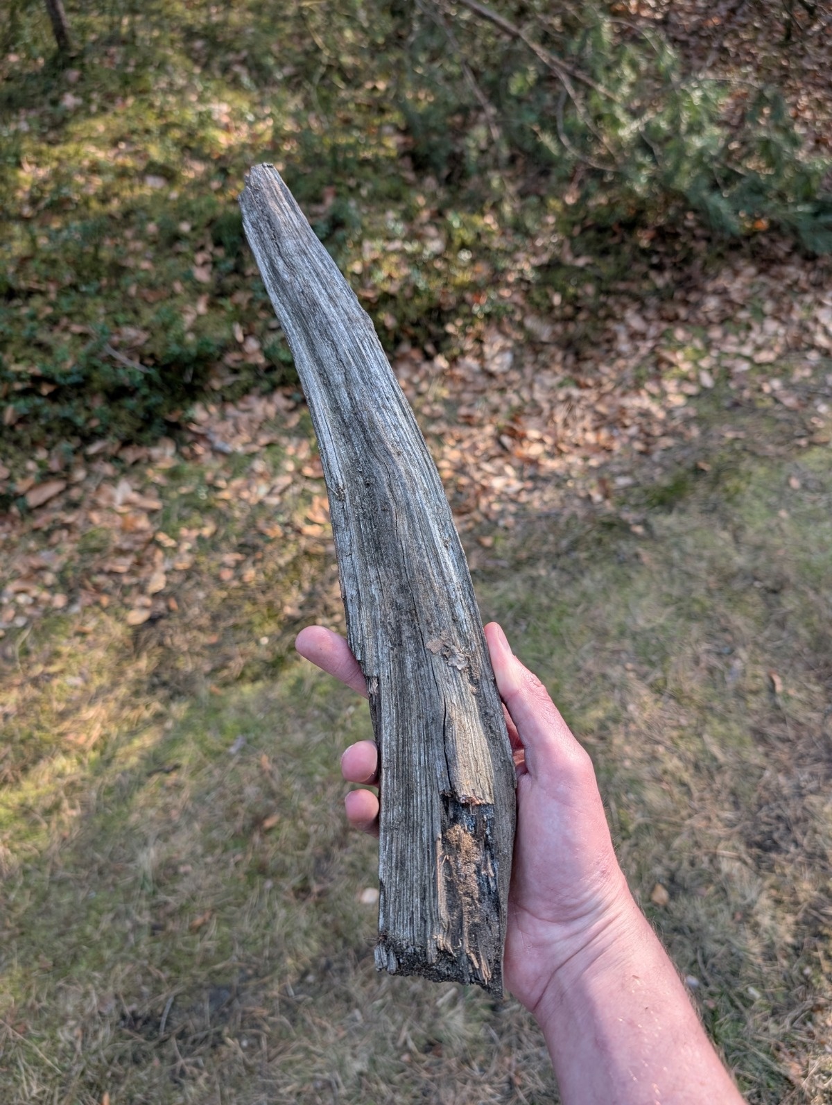 03cd6d26-6c97-4246-a300-b93d80544c74