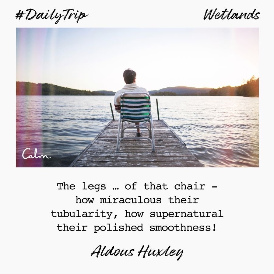 fd06fced-a715-4e6e-83f1-9b89de2960cc