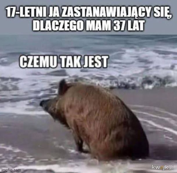 d7567185-19b9-4853-adea-186ac497ddc3