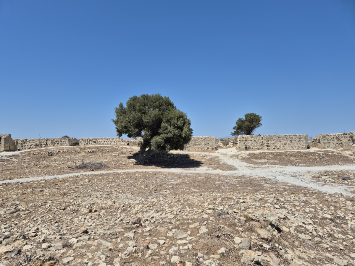 897b28cf-a474-4bb3-a6f5-52f7ac57aac9