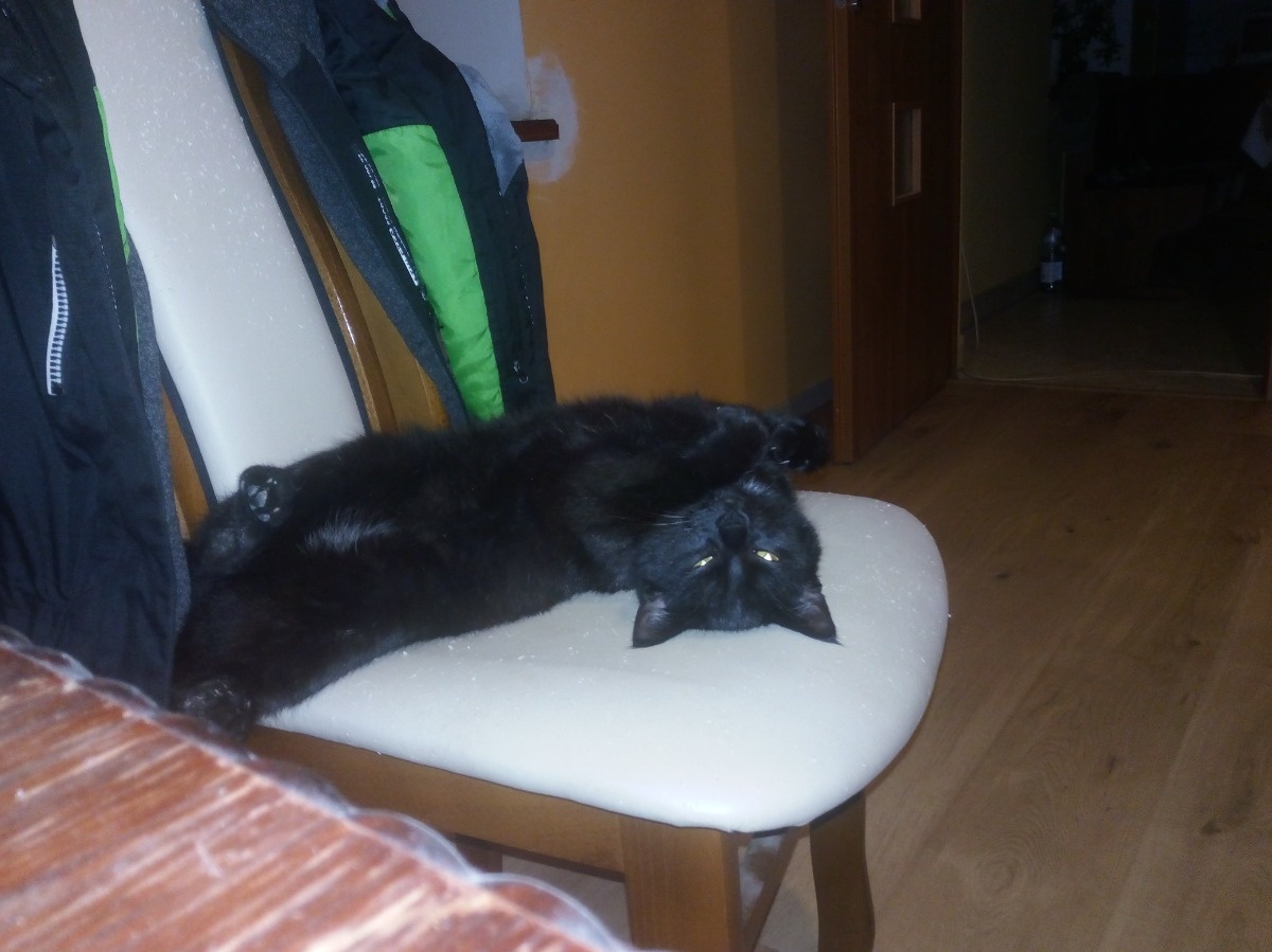 a6e191a2-e8cb-4146-b4f3-f6c46272ecb3