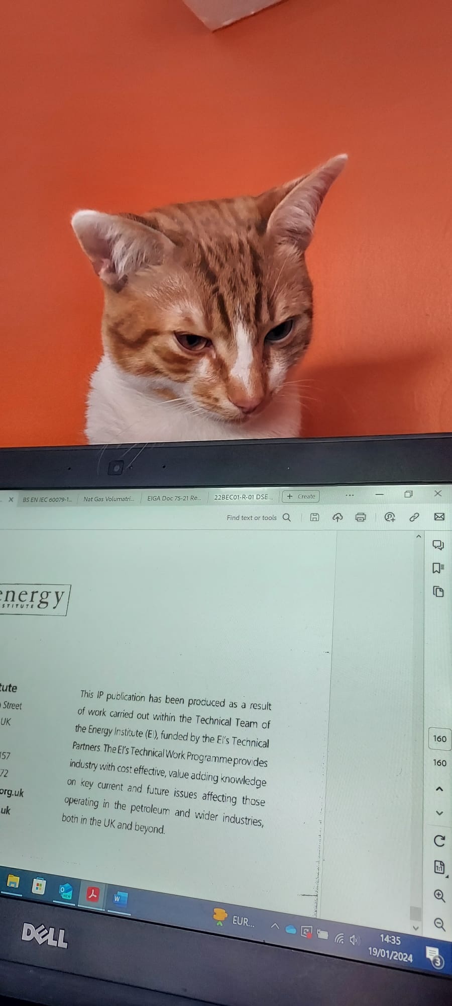 c35aaa73-918f-473b-b368-21fff1bfe926