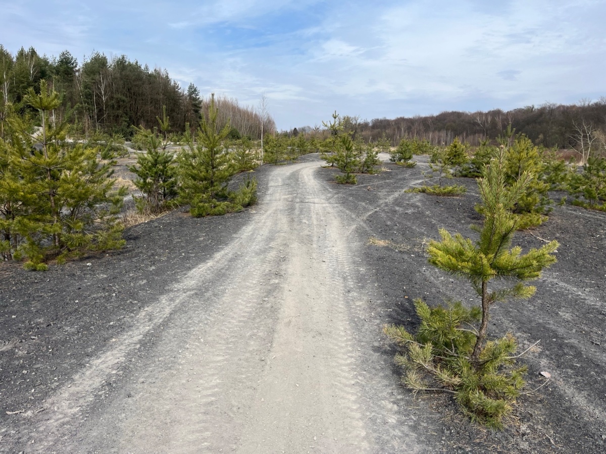 de865668-9a0d-4f79-88a7-db7e80dbf427