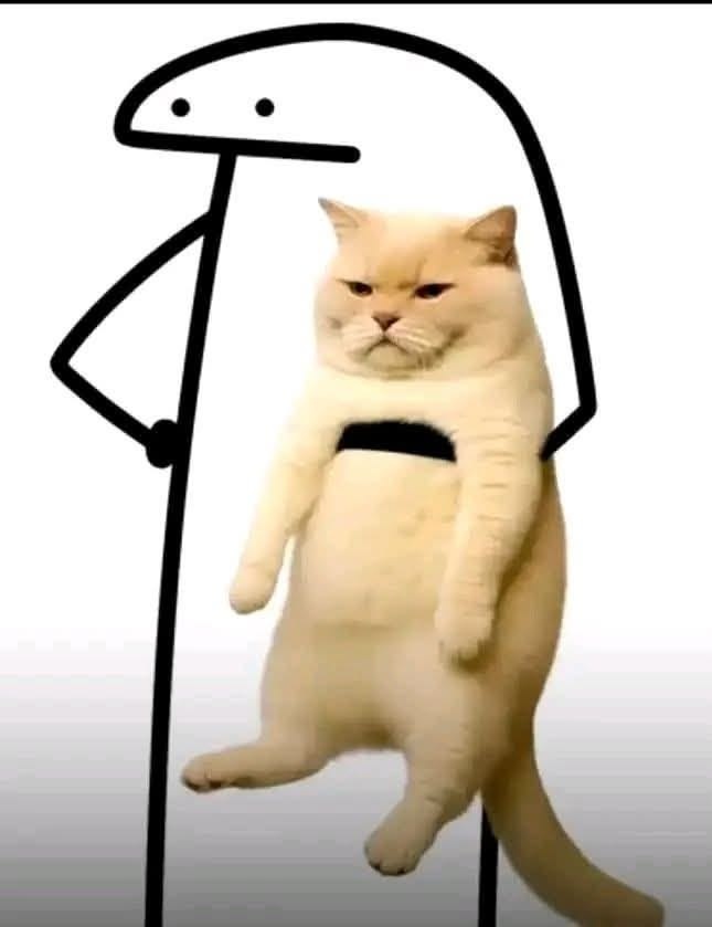 666b6fa4-6f14-4faa-9ec6-d135ad56b47d